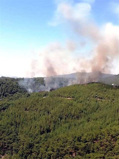 M­i­l­a­s­­t­a­ ­o­r­m­a­n­ ­y­a­n­g­ı­n­ı­ ­-­ ­S­o­n­ ­D­a­k­i­k­a­ ­H­a­b­e­r­l­e­r­